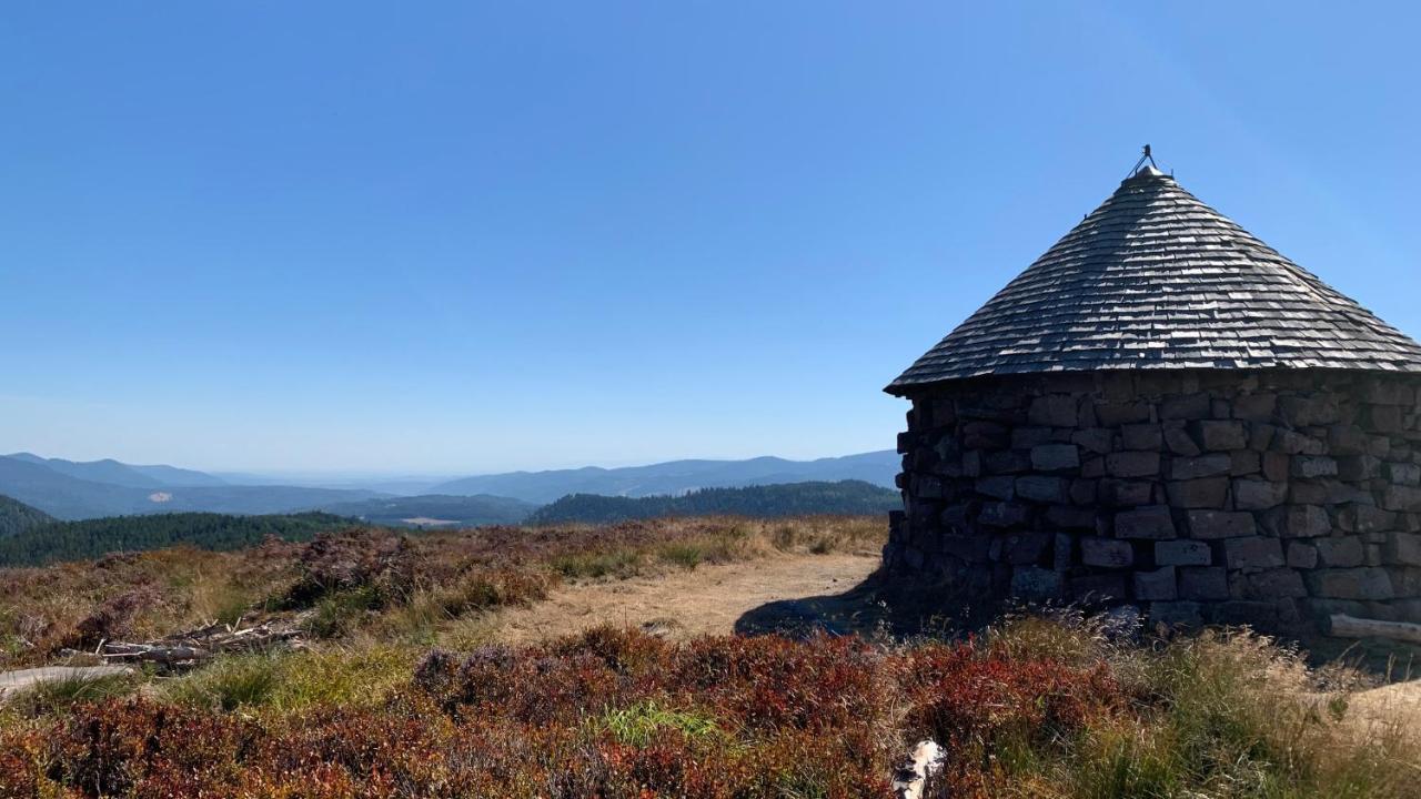 Chalet L Ecrin Vert Plaine Dış mekan fotoğraf