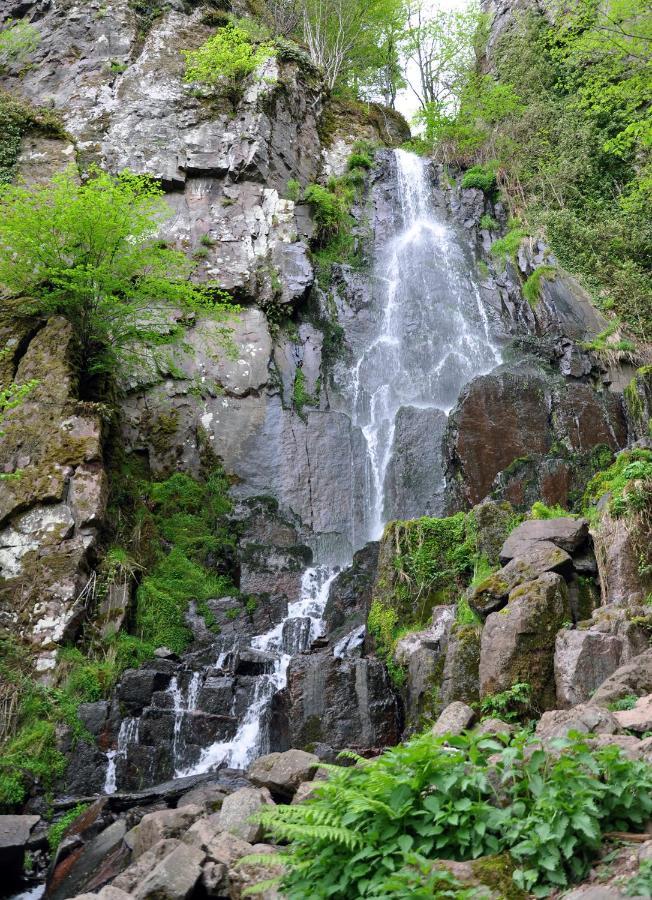Chalet L Ecrin Vert Plaine Dış mekan fotoğraf